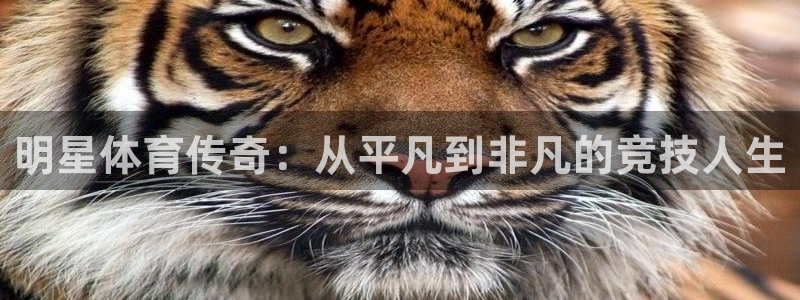 风速体育下载