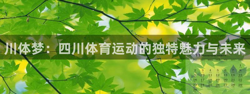 风速体育app