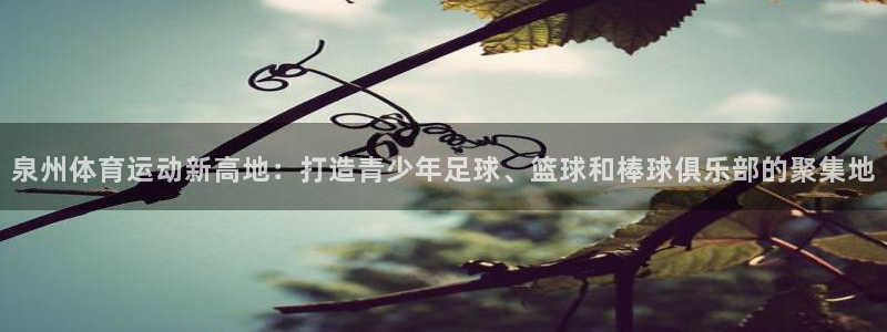 风速体育直播app