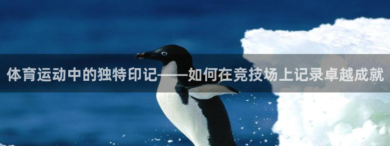 风速体育app下载安装最新版本