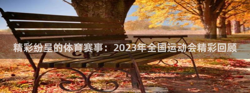 风速体育nba直播