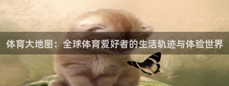 风速体育