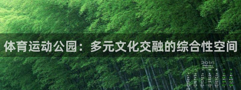 风速体育官网