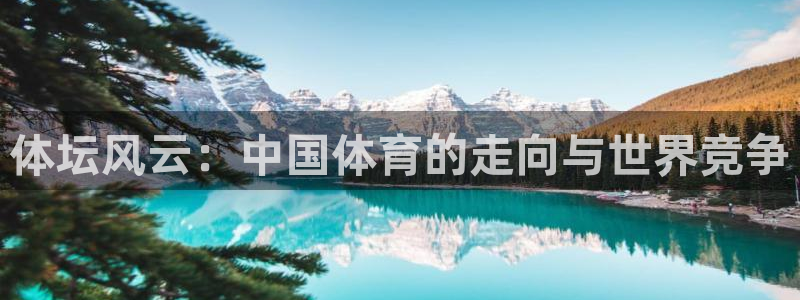 风速体育直播app