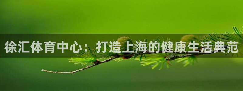 风速体育nba免费直播