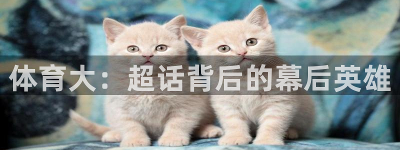 风速体育app下载官网最新版