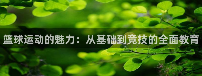 风速体育直播app