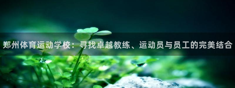 风速体育nba直播