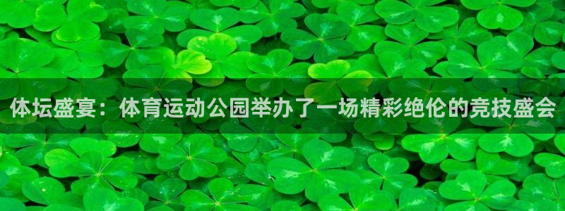 风速体育下载